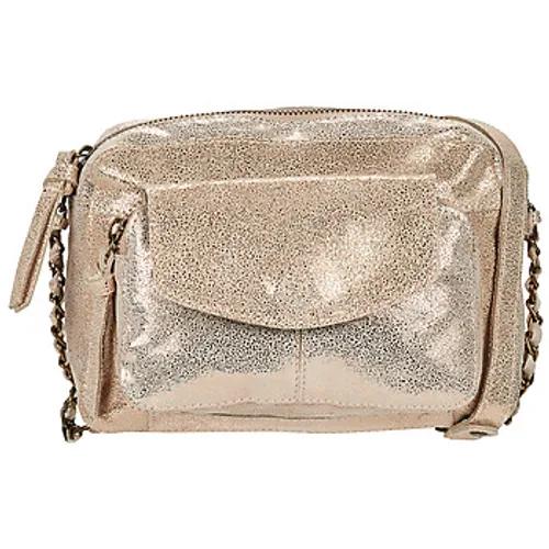 Pieces  PCNAINA  women's Shoulder Bag in Gold