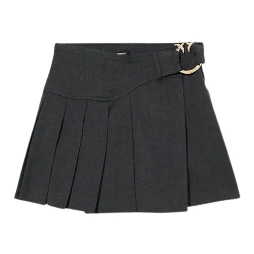 Pinko , Grey Flannel Skirt Love Birds Detail ,Gray female, Sizes: