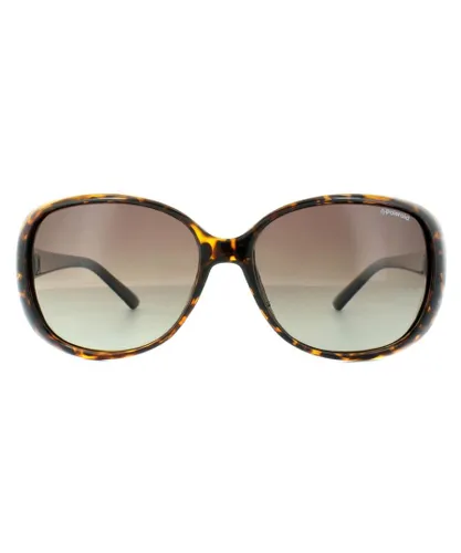 Polaroid Butterfly Womens Havana Black Brown Gradient Polarized Sunglasses - One