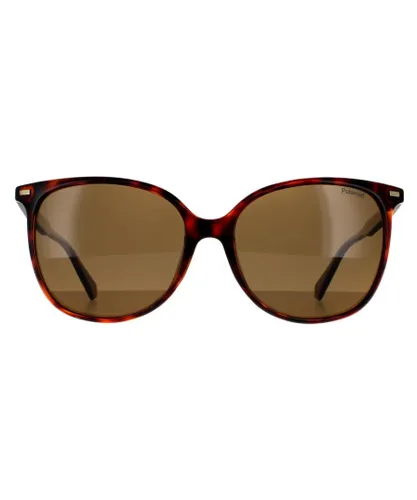Polaroid Cat Eye Womens Dark Havana Bronze Polarized Sunglasses - Brown - One