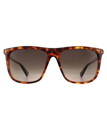 Polaroid Square Mens Dark Havana Brown Gradient Polarized Sunglasses - One