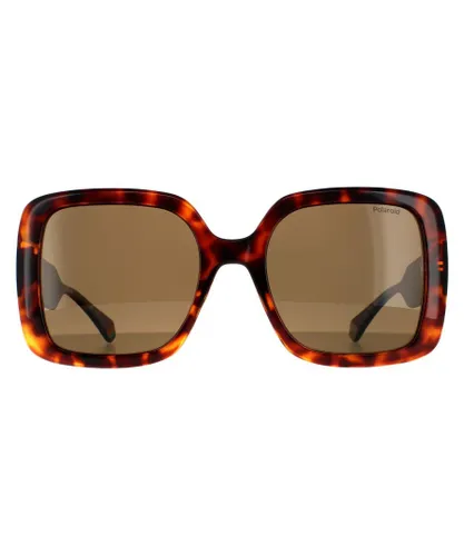Polaroid Square Womens Dark Havana Bronze Polarized Sunglasses - Brown - One