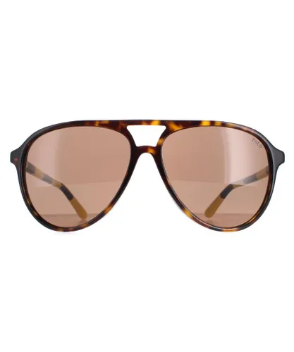 Polo Ralph Lauren Aviator Mens Shiny Dark Havana Brown Sunglasses - One