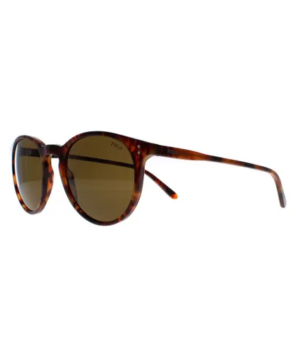 Polo Ralph Lauren Round Unisex Havana Brown Sunglasses - One