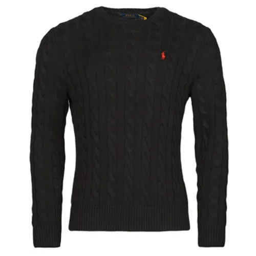 Polo Ralph Lauren  SERINA  men's Sweater in Black