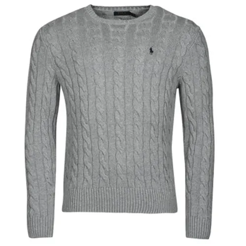 Polo Ralph Lauren  SERINA  men's Sweater in Grey