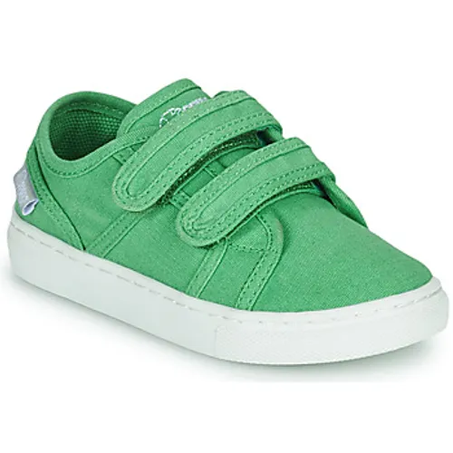 Primigi  1960122  boys's Children's Shoes (Trainers) in Green