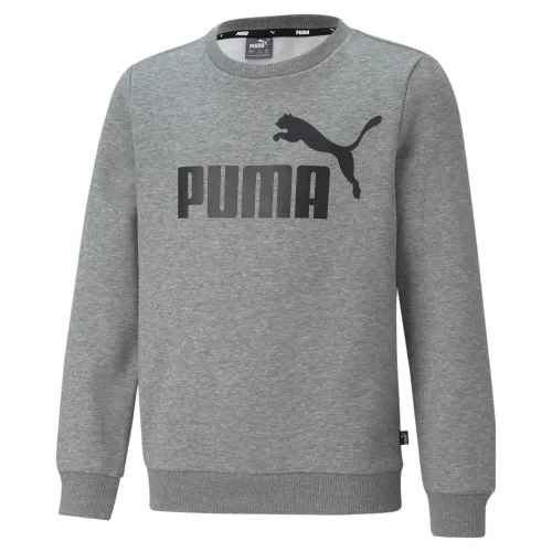 PUMA Boy's Big Logo Crew Fl B Sweater