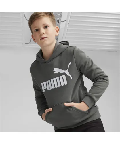 Puma Boys Essentials Big Logo Hoodie - Grey