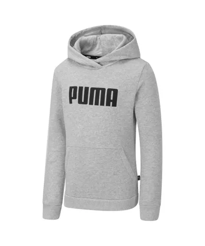 Puma Childrens Unisex Kids Essentials Full-Length Youth Hoodie Hoody Hooded Top - Grey Cotton