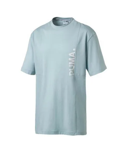 Puma Epoch Mens Tee Graphic Logo T-Shirt Casual Top 577996 24 - Blue