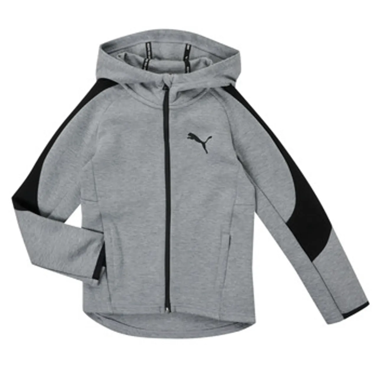 Puma  EVOSTRIPE CORE FZ HOODIE  boys's Children's sweatshirt in Grey