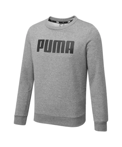 Puma Kids Boys Essentials Fleece Crew Neck Sweatshirt Jumper Top Youth - Grey Cotton