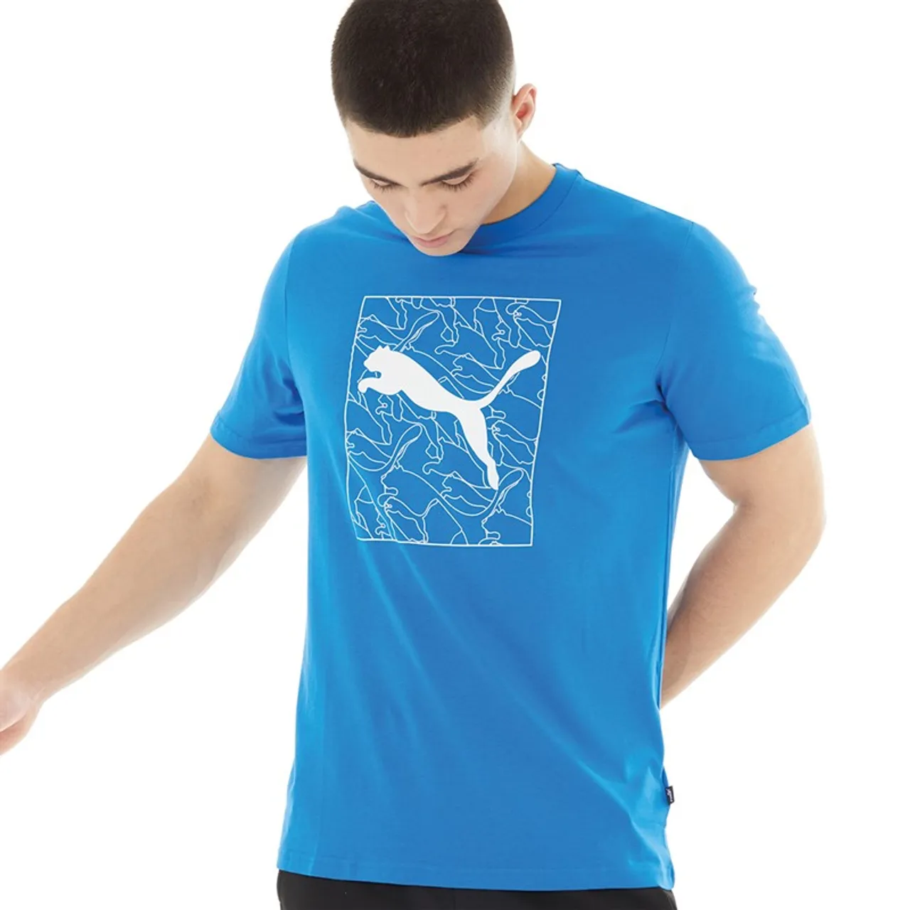 Puma Mens Graphic Cat T-Shirt Racing Blue