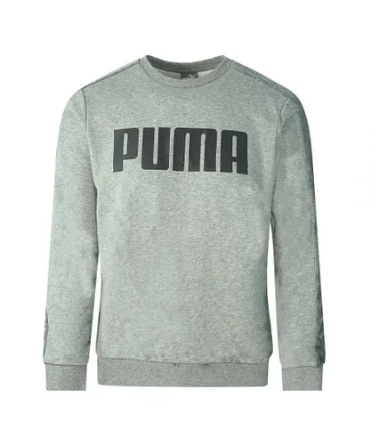 Puma Mens Velvet Taped Logo Grey Sweatshirt Cotton