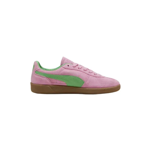 Puma , Palermo Special Sneakers ,Pink female, Sizes: