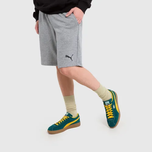Puma Shorts In Grey