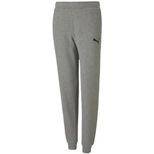 Puma  Teamgoal 23 Casuals Pants JR  girls's  in Grey