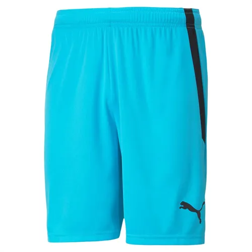 PUMA Teamliga Shorts – Unisex Adult Shorts