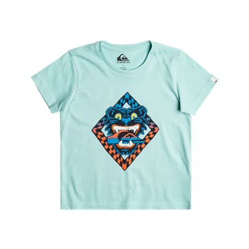 Quiksilver Boys Dirty Paws T-Shirt - Pastel Turquoise