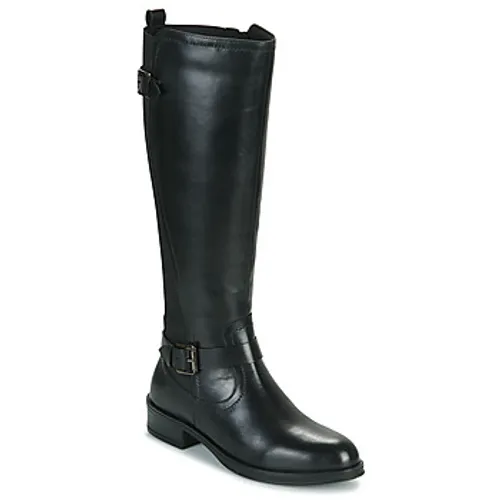 Ravel  MAY  women's High Boots in Black