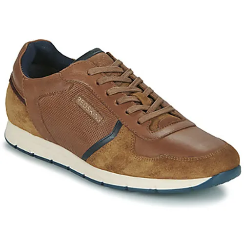 Redskins  ADORE  men's Shoes (Trainers) in Brown