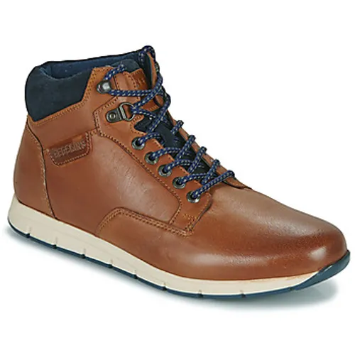 Redskins  SADILY  men's Shoes (High-top Trainers) in Brown
