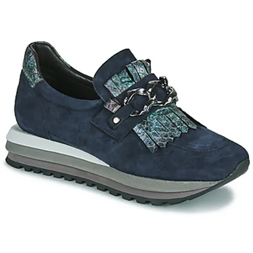 Regard  KRIC  women's Shoes (Trainers) in Blue