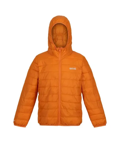 Regatta Childrens Unisex Childrens/Kids Hillpack Hooded Jacket (Autumn Maple) - Orange