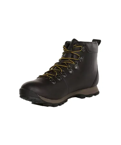 Regatta Mens Cypress Evo Leather Walking Boots (Brown)