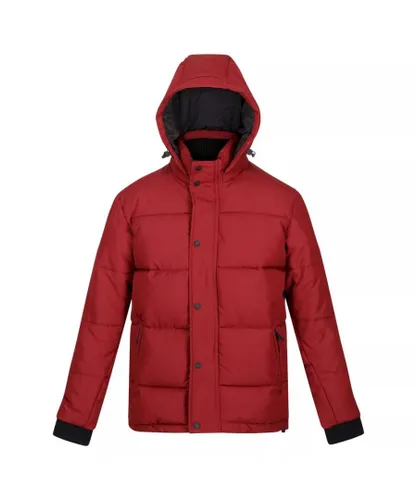 Regatta Mens Farren Lightweight Puffer Jacket (Syrah Red) - Multicolour