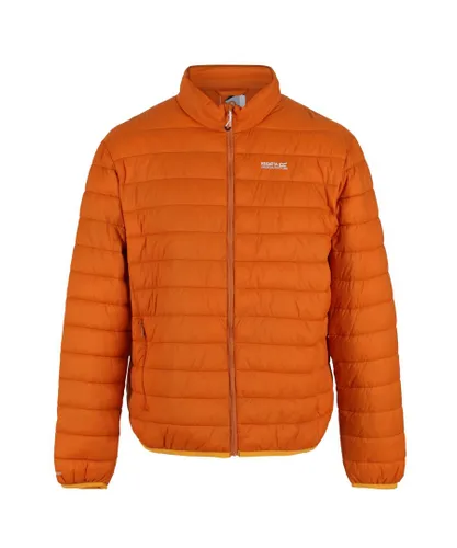 Regatta Mens Hillpack Quilted Insulated Jacket (Fox) - Orange