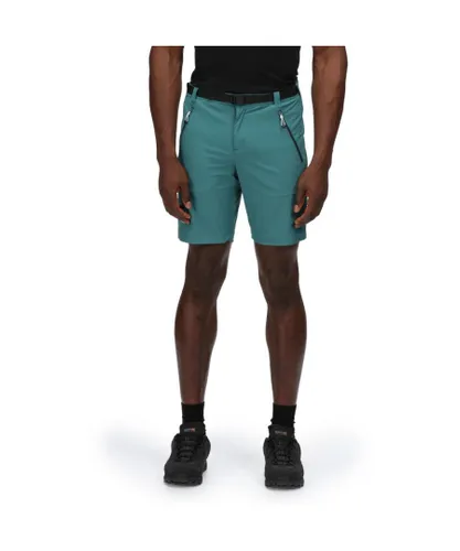 Regatta Mens Xert Stretch III Polyamide Walking Shorts - Green