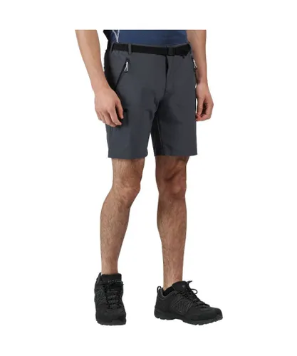 Regatta Mens Xert Stretch III Polyamide Walking Shorts - Grey