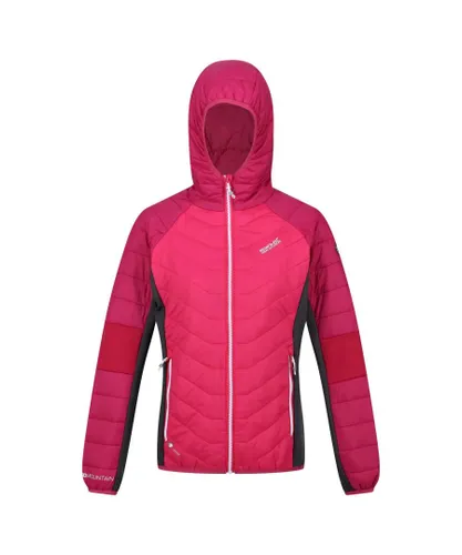 Regatta Womens/Ladies Trutton Lightweight Padded Jacket (Pink Potion/Berry Pink)