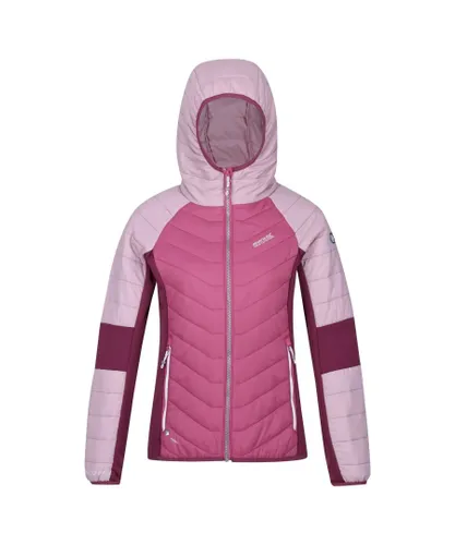 Regatta Womens/Ladies Trutton Lightweight Padded Jacket (Violet/Fragrant Lilac/Amaranth Haze) - Pink