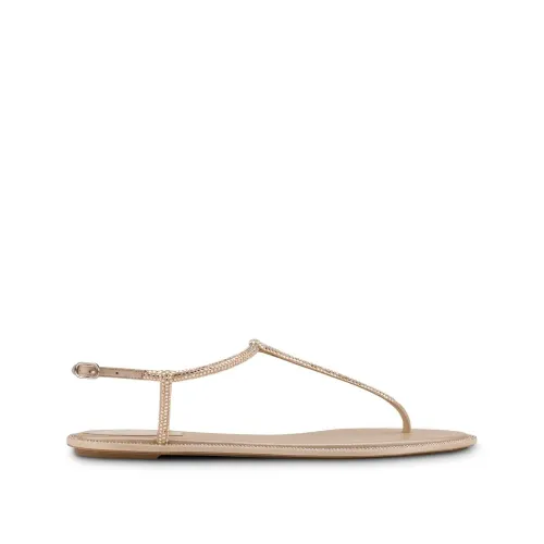 René Caovilla , Flat Sandals ,Yellow female, Sizes: