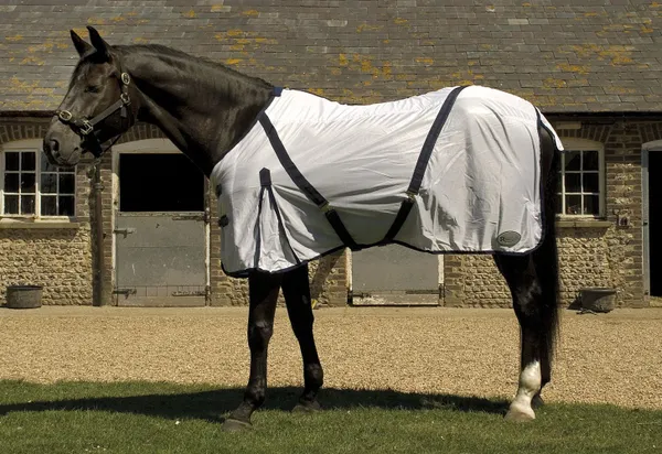 Rhinegold Fly Rug With Neck Cover-5/0-White