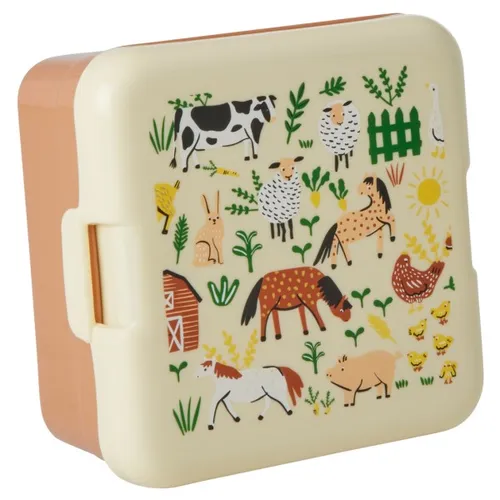 Rice - Small Lunchbox - Food storage size Small, sand