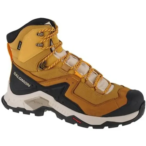 Salomon  Quest  Gtx  men's Walking Boots in Orange