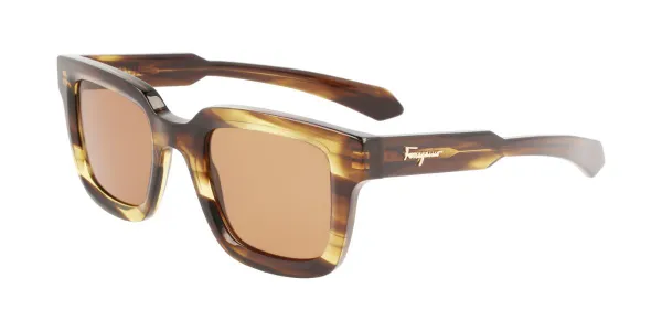 Salvatore Ferragamo SF 1064S 319 Men's Sunglasses Brown Size 48