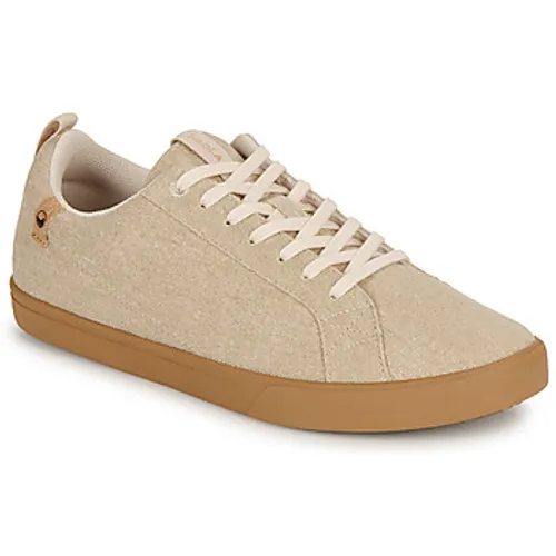 Saola  CANNON CANVAS  men's Shoes (Trainers) in Beige