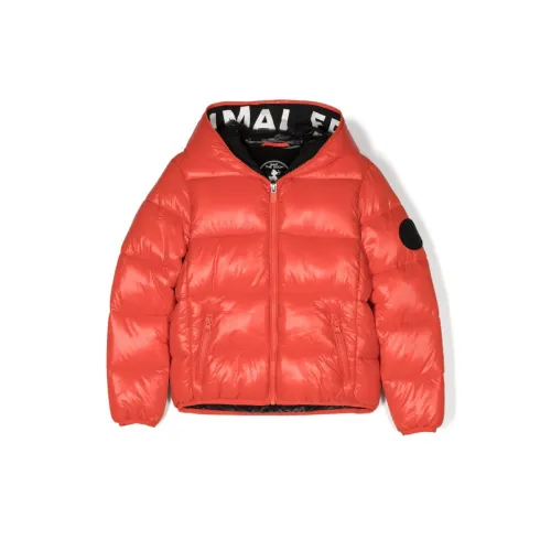 Save The Duck , Fluo Orange Nylon Padded Jacket with Hood ,Orange male, Sizes: