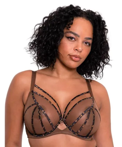 Scantilly by Curvy Kate Womens ST027101 Senses Plunge Bra - Brown