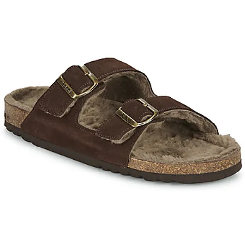 Scholl  JULIEN  men's Mules / Casual Shoes in Brown
