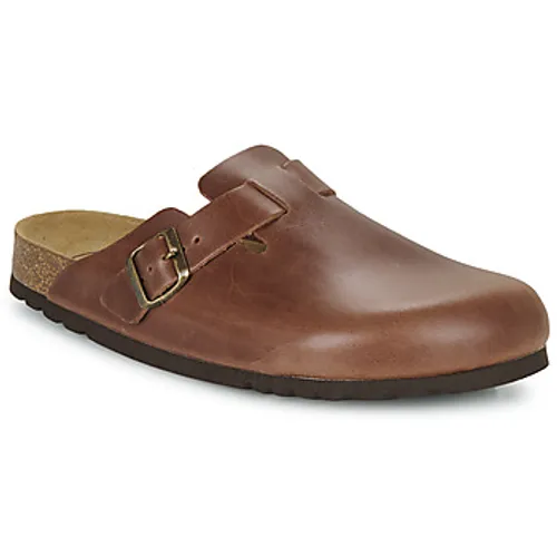 Scholl  OLIVIER  men's Mules / Casual Shoes in Brown
