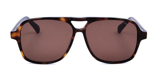 Sergio Tacchini ST5019 104 Men's Sunglasses Tortoiseshell Size 57