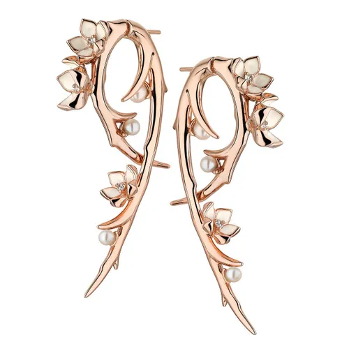 Shaun Leane Cherry Blossom 18ct Rose Gold Plated Sterling Silver 0.35ct Diamond Pearl Hook Earrings - Rose Gold