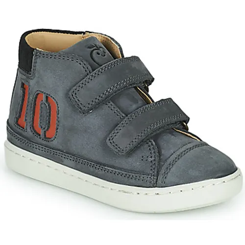 Shoo Pom  PLAY ALPHA  boys's Children's Shoes (High-top Trainers) in Grey