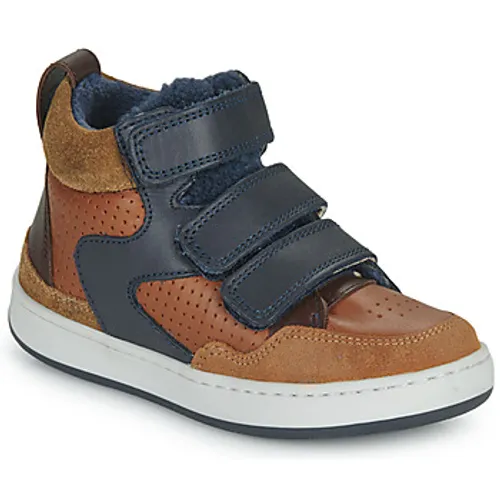 Shoo Pom  TEAMS JOG SCRATCH FUR  boys's Children's Shoes (High-top Trainers) in Brown
